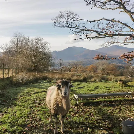 Jubilee Pet Friendly Sleeps 3 Hébergement de vacances